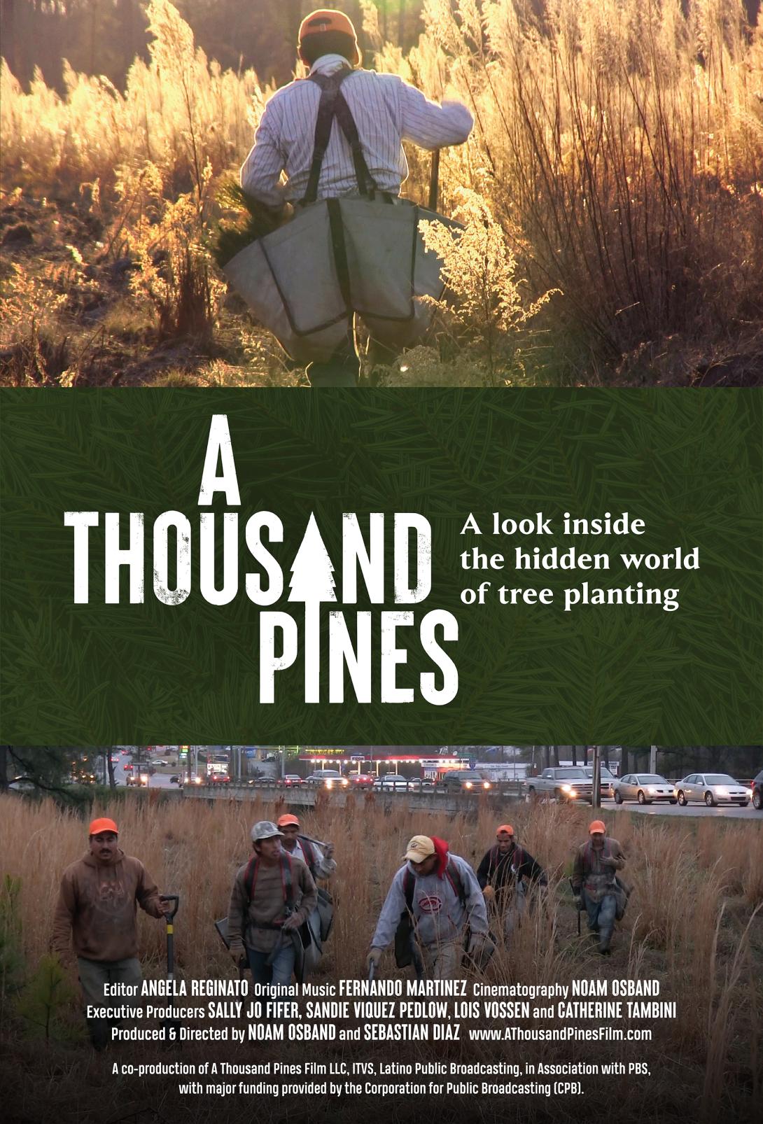 Poster for the documentary A Thousand Pines